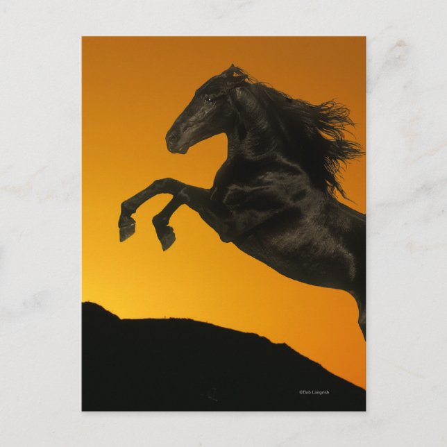 Fantasy Horses: Mountain Sunset Postcard (Front)