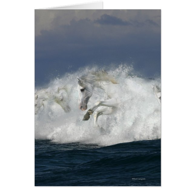 Fantasy Horses: Sea (Front)