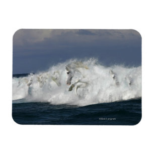 Fantasy Horses: Sea Magnet