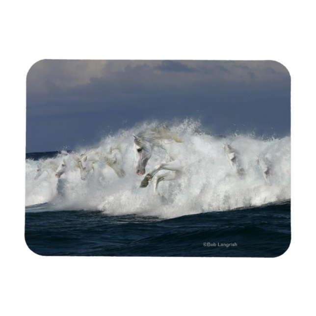 Fantasy Horses: Sea Magnet (Horizontal)