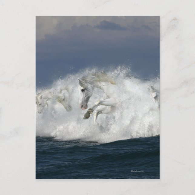 Fantasy Horses: Sea Postcard (Front)