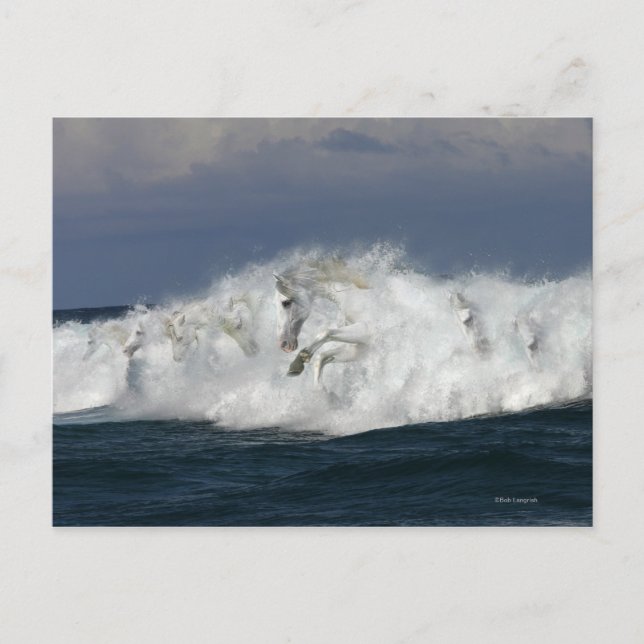Fantasy Horses: Sea Postcard (Front)
