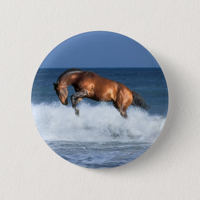 Fantasy Horses: Selle Francais & Sea 6 Cm Round Badge (Front)