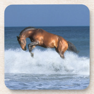 Fantasy Horses: Selle Francais & Sea Coaster