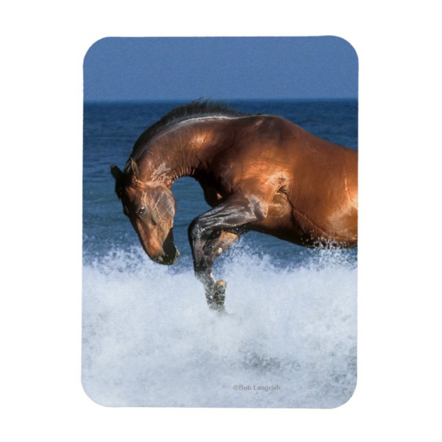 Fantasy Horses: Selle Francais & Sea Magnet (Vertical)