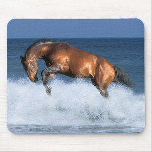 Fantasy Horses: Selle Francais & Sea Mouse Mat