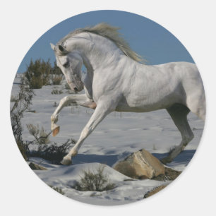 Fantasy Horses: Snow King Classic Round Sticker