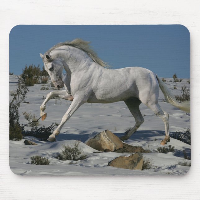 Fantasy Horses: Snow King Mouse Mat (Front)