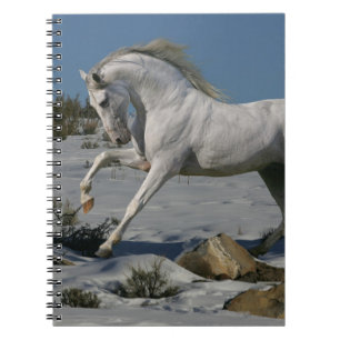 Fantasy Horses: Snow King Notebook