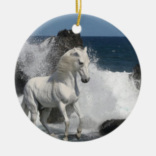 Fantasy Horses: Southern Seas Ceramic Tree Decoration