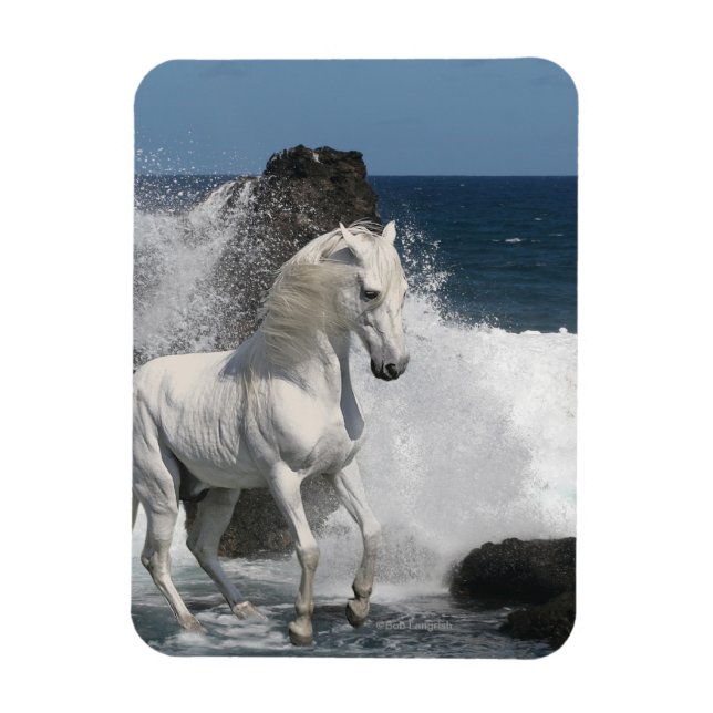 Fantasy Horses: Southern Seas Magnet (Vertical)