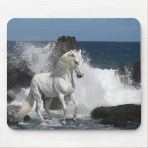Fantasy Horses: Southern Seas Mouse Mat