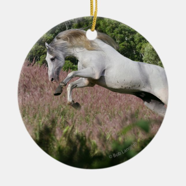 Fantasy Horses: Spring Gallop Ceramic Tree Decoration (Front)