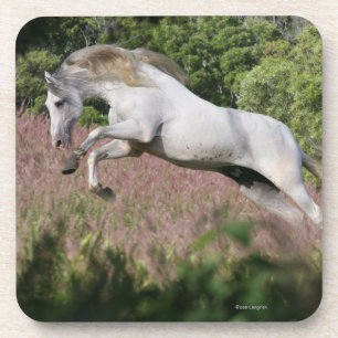 Fantasy Horses: Spring Gallop Coaster