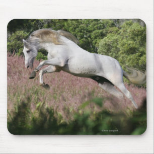 Fantasy Horses: Spring Gallop Mouse Mat