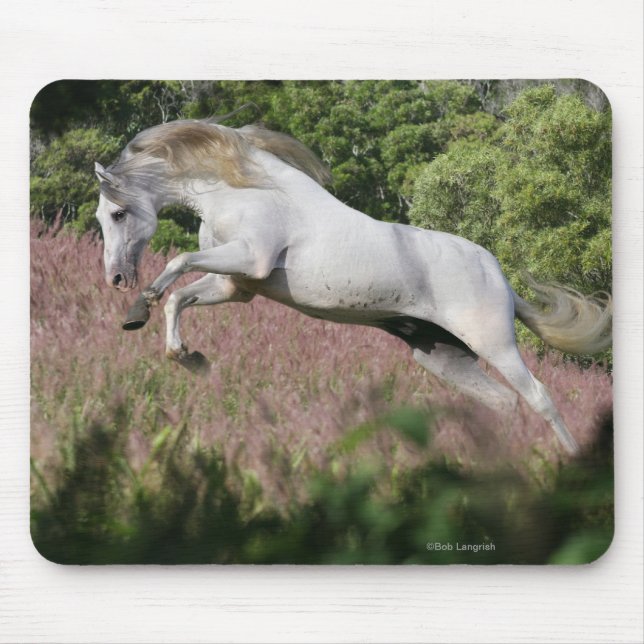 Fantasy Horses: Spring Gallop Mouse Mat (Front)