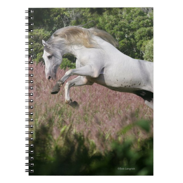 Fantasy Horses: Spring Gallop Notebook (Front)