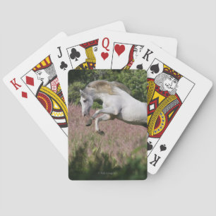 Fantasy Horses: Spring Gallop Playing Cards