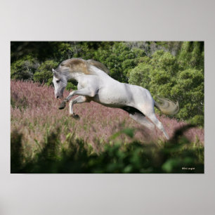 Fantasy Horses: Spring Gallop Poster