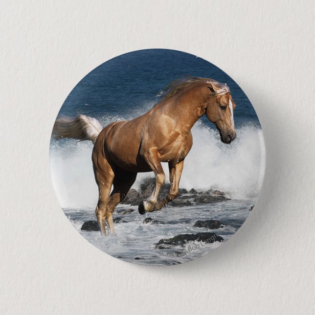 Fantasy Horses: Summer Splash 6 Cm Round Badge (Front)