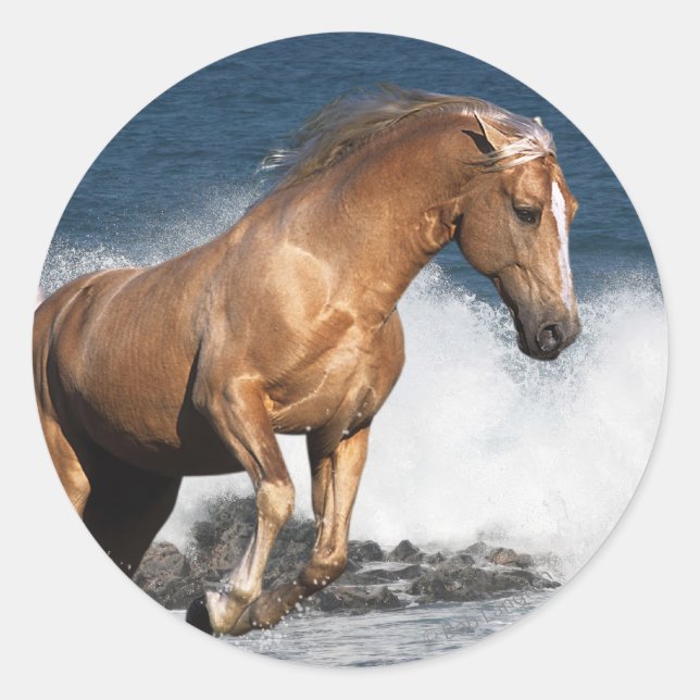 Fantasy Horses: Summer Splash Classic Round Sticker (Front)