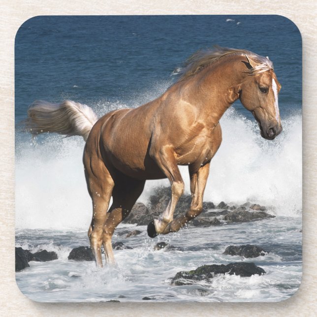 Fantasy Horses: Summer Splash Coaster (Front)