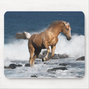 Fantasy Horses: Summer Splash Mouse Mat