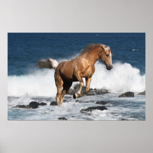 Fantasy Horses: Summer Splash Poster