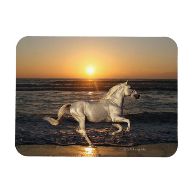 Fantasy Horses: Sunset Magnet (Horizontal)