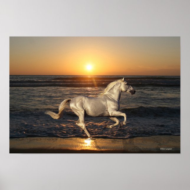 Fantasy Horses: Sunset Poster (Front)
