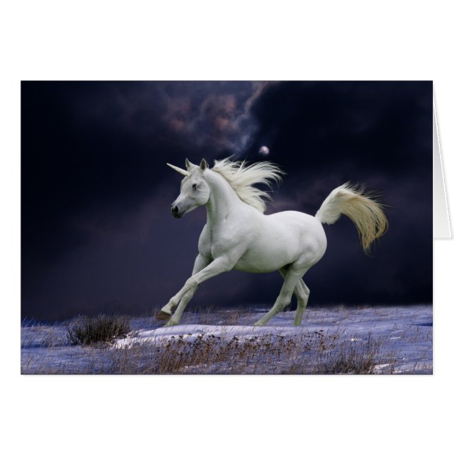 Fantasy Horses: Unicorn (Front Horizontal)