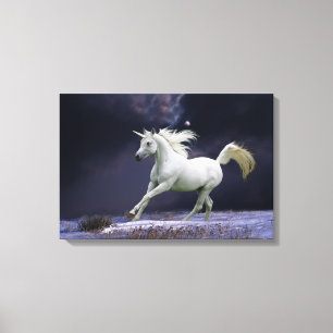 Fantasy Horses: Unicorn Canvas Print