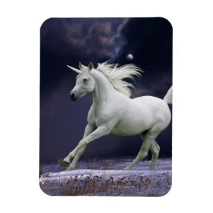 Fantasy Horses: Unicorn Magnet