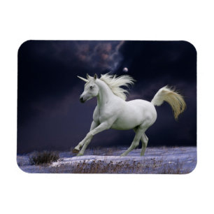 Fantasy Horses: Unicorn Magnet