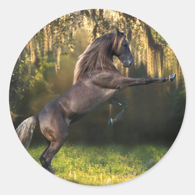Fantasy Horses: Warrior Prince Classic Round Sticker (Front)