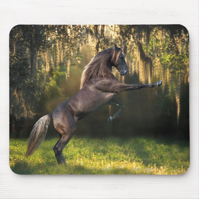 Fantasy Horses: Warrior Prince Mouse Mat (Front)