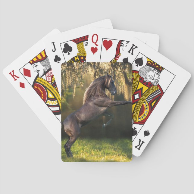 Fantasy Horses: Warrior Prince Playing Cards (Back)