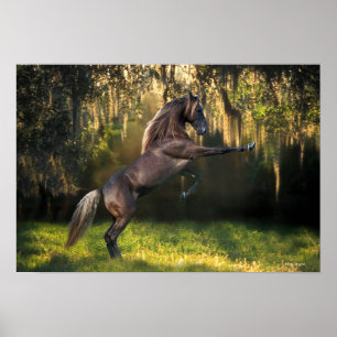 Fantasy Horses: Warrior Prince Poster