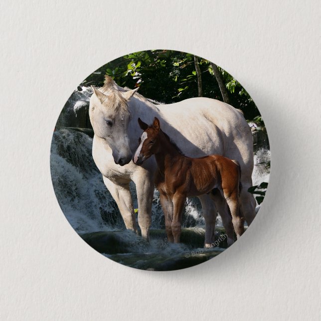 Fantasy Horses: Waterfall 6 Cm Round Badge (Front)