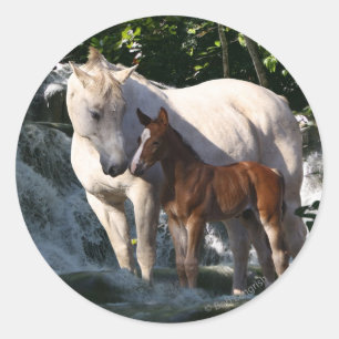 Fantasy Horses: Waterfall Classic Round Sticker