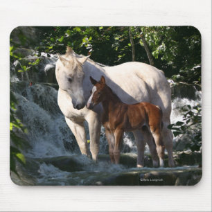 Fantasy Horses: Waterfall Mouse Mat