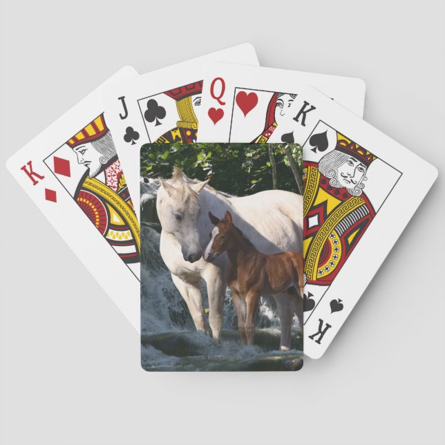 Fantasy Horses: Waterfall Playing Cards (Back)