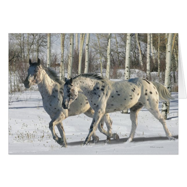 Fantasy Horses: Winter Wonderland (Front Horizontal)