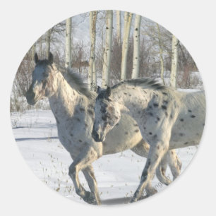 Fantasy Horses: Winter Wonderland Classic Round Sticker