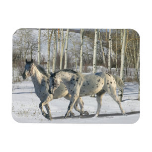 Fantasy Horses: Winter Wonderland Magnet