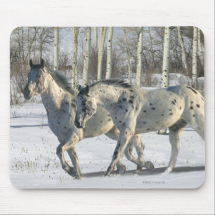 Fantasy Horses: Winter Wonderland Mouse Mat