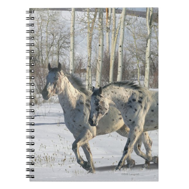 Fantasy Horses: Winter Wonderland Notebook (Front)
