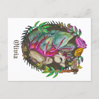 Fantasy kohlrabi  hedgehog -  cute hedgehog postcard