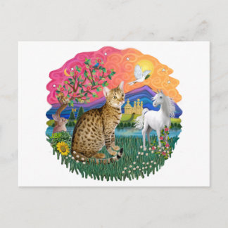 Fantasy Land (ff) - Ocicat Postcard