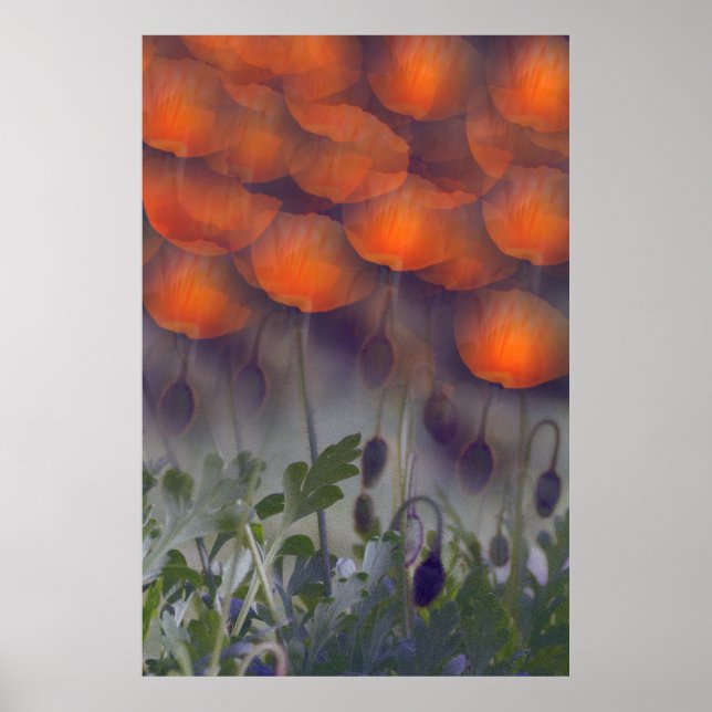 Fantasy Orange Poppy Skies Poster (Front)